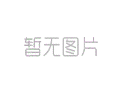 双胞胎连名：创意无限，完美搭配的艺术