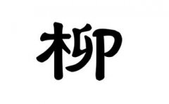 柳姓好听稀少的男孩名字